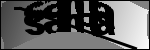 متن برای شناسایی